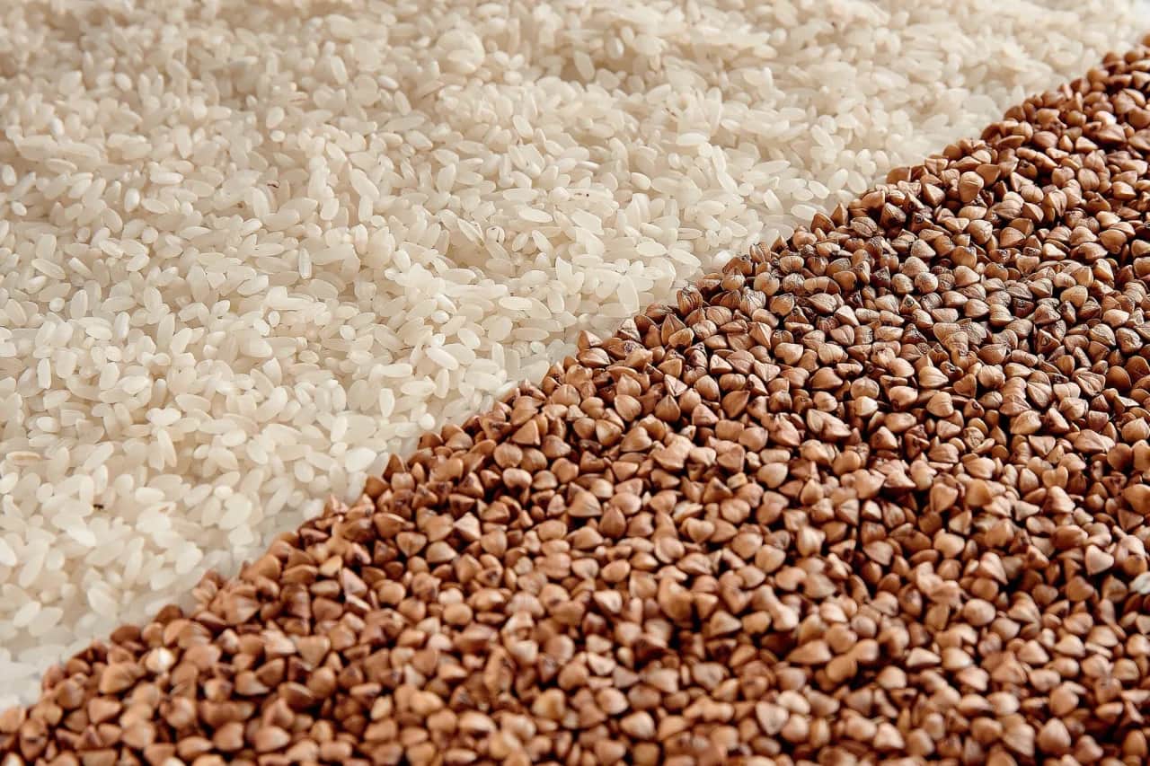 Ryż czy kasza dla psa? Co wybrać dla zdrowia i trawienia?